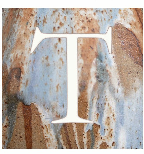 "T" - Alphabet Coaster - Slate